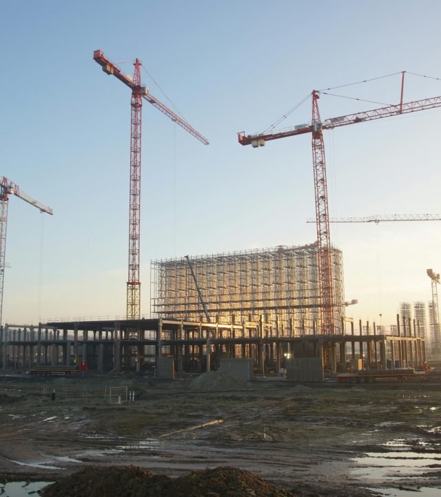 pexels-tom-van-dyck-423949093-15532135